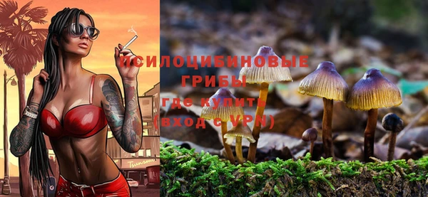 СК Балахна