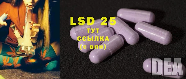 гашик Баксан