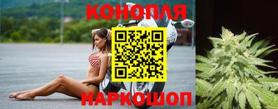 гашик Железногорск