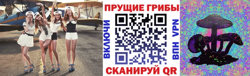 Галлюциногенные грибы Psilocybe Курган